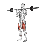 Barbell Front Chest Squat exercise animation