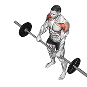 Barbell Front Raise exercise animation