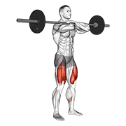 Barbell Front Squat exercise animation