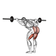 Barbell Good Morning exercise animation