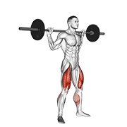 Barbell Jump Squat exercise animation