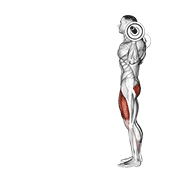 Barbell Lunge exercise animation