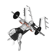 Barbell Lying Close-Grip Press form demonstration - targeted for Triceps Upper Arms workouts