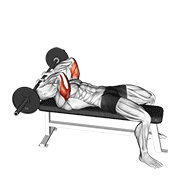 Barbell Lying Triceps Extension Skull Crusher exercise animation