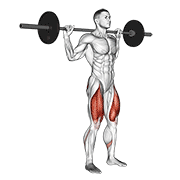 Barbell Narrow Stance Squat form demonstration - targeted for Glutes Upper Legs workouts