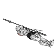 Barbell One Arm Floor Press form demonstration - targeted for Triceps Upper Arms workouts