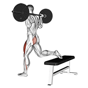 Barbell One Leg Squat exercise animation