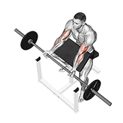 Barbell Preacher Curl exercise animation