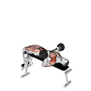 Barbell Press Sit-Up exercise animation
