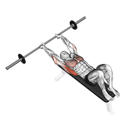 Barbell Pullover exercise animation