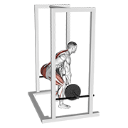 Barbell Rack Pull form demonstration - targeted for Glutes Upper Legs workouts