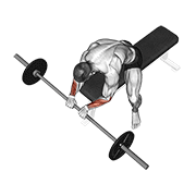 Barbell Reverse Wrist Curl exercise animation