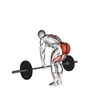 Barbell Romanian Deadlift exercise animation