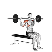 Barbell Seated Behind Head Military Press exercise animation