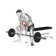 Barbell Seated Close-Grip Concentration Curl form demonstration - targeted for Biceps Upper Arms workouts
