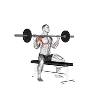 Barbell Seated Overhead Press exercise animation
