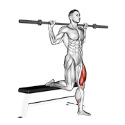 Barbell Single Leg Split Squat exercise animation