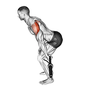 Barbell Skier exercise animation
