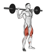 Barbell Speed Squat exercise animation