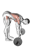 Barbell Standing Ab Rollerout exercise animation