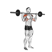 Barbell Standing Bradford Press exercise animation