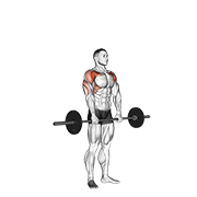 Barbell Standing Front Raise Over Head exercise animation