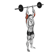 Barbell Standing Overhead Triceps Extension exercise animation