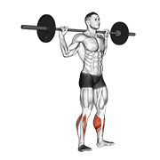 Barbell Standing Rocking Leg Calf Raise form demonstration - targeted for Calves Lower Legs workouts