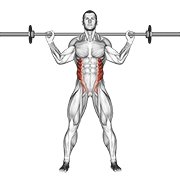Barbell Standing Twist form demonstration - targeted for Abs Waist workouts