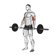 Barbell Standing Wide-Grip Curl exercise animation
