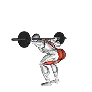 Barbell Stiff Leg Good Morning form demonstration - targeted for Glutes Upper Legs workouts