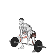 Barbell Sumo Deadlift exercise animation