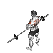 Barbell Upright Row V. 2 exercise animation
