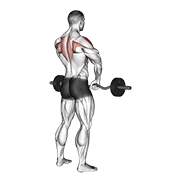 Barbell Upright Row form demonstration - targeted for Delts Shoulders workouts