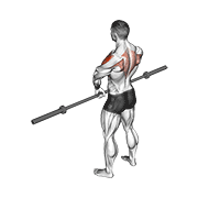 Barbell Upright Row V. 3 exercise animation