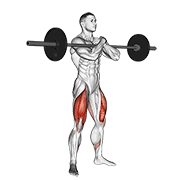 Barbell Zercher Squat exercise animation