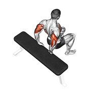 Bench Dip (knees Bent) exercise animation