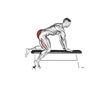 Bench Hip Extension exercise animation