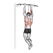 Biceps Pull-Up exercise animation