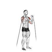 Cable Alternate Shoulder Press exercise animation