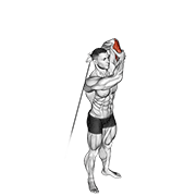 Cable Alternate Triceps Extension exercise animation