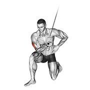 Cable Concentration Extension (on Knee) exercise animation