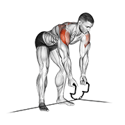 Cable Cross-Over Revers Fly exercise animation