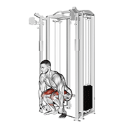 Cable Deadlift exercise animation