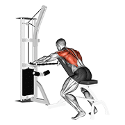 Cable Decline Seated Wide-Grip Row exercise animation