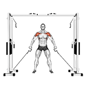 Cable Front Shoulder Raise form demonstration - targeted for Delts Shoulders workouts