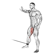 Cable Hip Adduction exercise animation