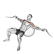 Cable Incline Fly (on Stability Ball) exercise animation