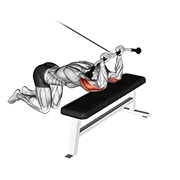 Cable Kneeling Triceps Extension exercise animation