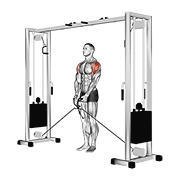 Cable Lateral Raise exercise animation